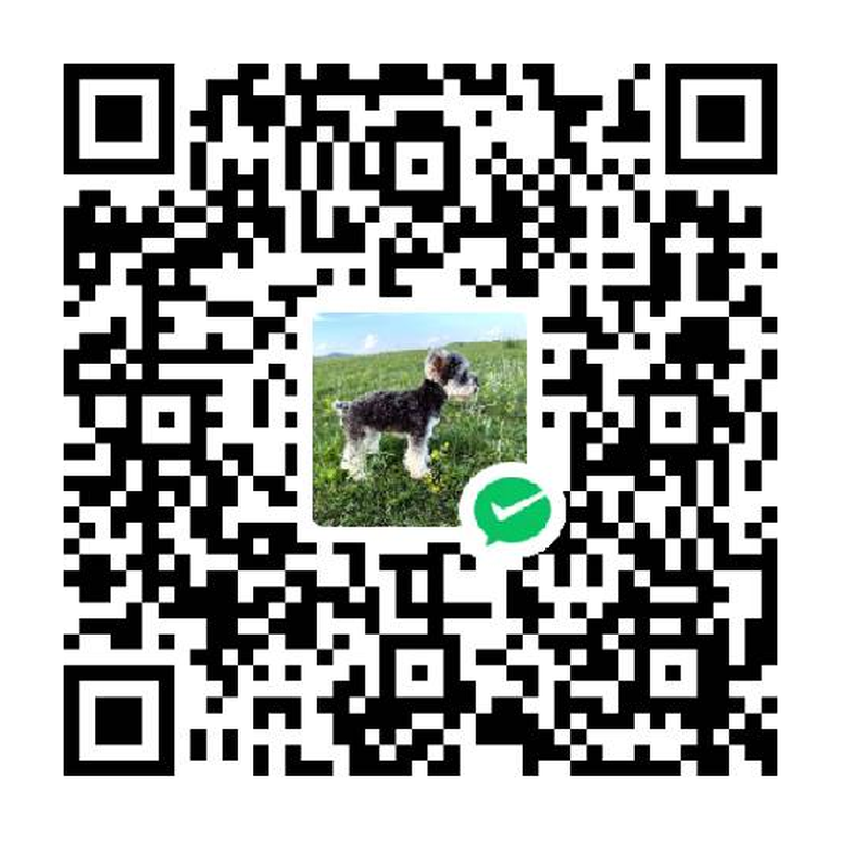 WeChat Pay